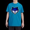 Heavy Cotton™ Youth 5.3 oz. T-Shirt Thumbnail